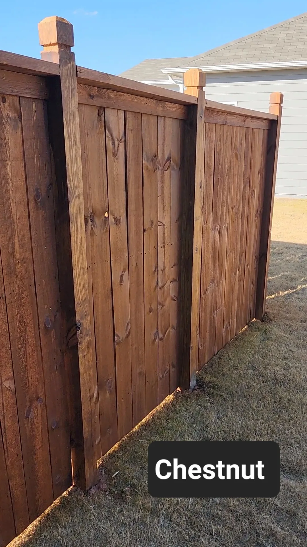 Chestnut Semi-Transparent Fence Stain